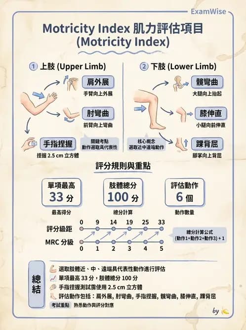 物治 - 腦中風動作評估與分期 - AI 圖文解析預覽