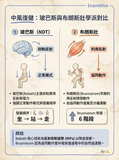 物治 - 神經治療學派技術 - AI 圖文解析預覽