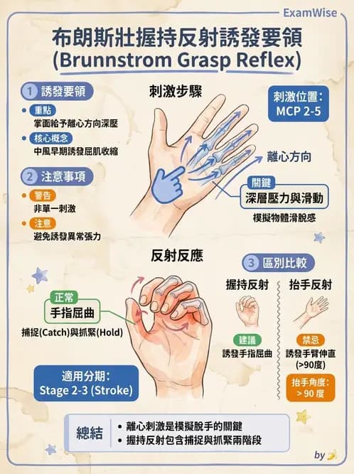 物治 - 神經治療學派技術 - AI 圖文解析預覽