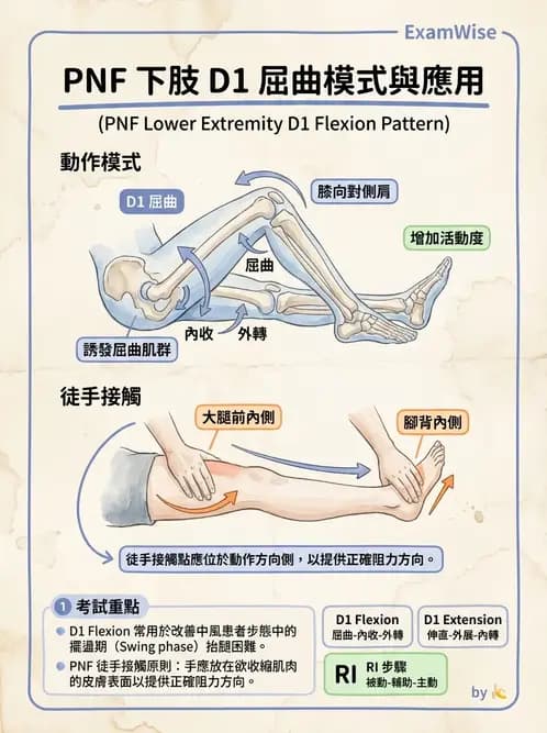 物治 - 腦中風治療手法應用 - AI 圖文解析預覽