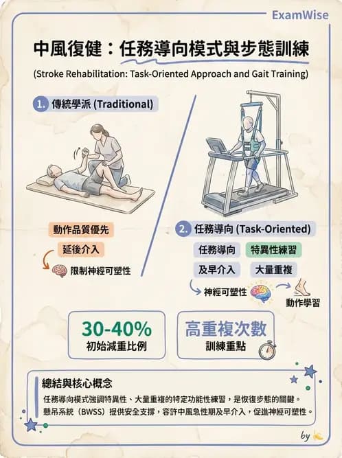 物治 - 腦中風步態分析與行走訓練 - AI 圖文解析預覽