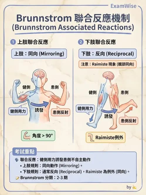 物治 - 腦中風動作評估與分期 - AI 圖文解析預覽