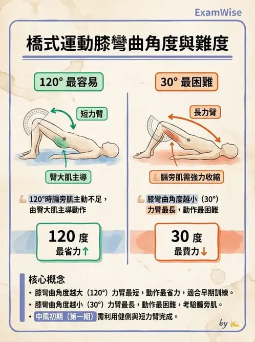 物治 - 腦中風姿勢控制平衡與轉位 - AI 圖文解析預覽