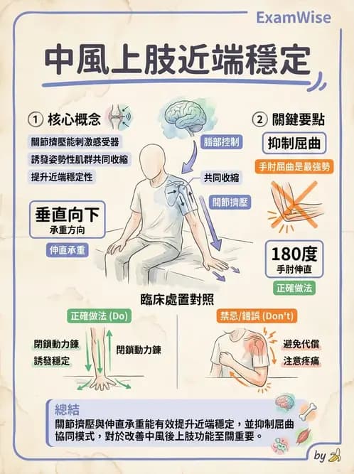 物治 - 腦中風上肢肩部與體適能 - AI 圖文解析預覽
