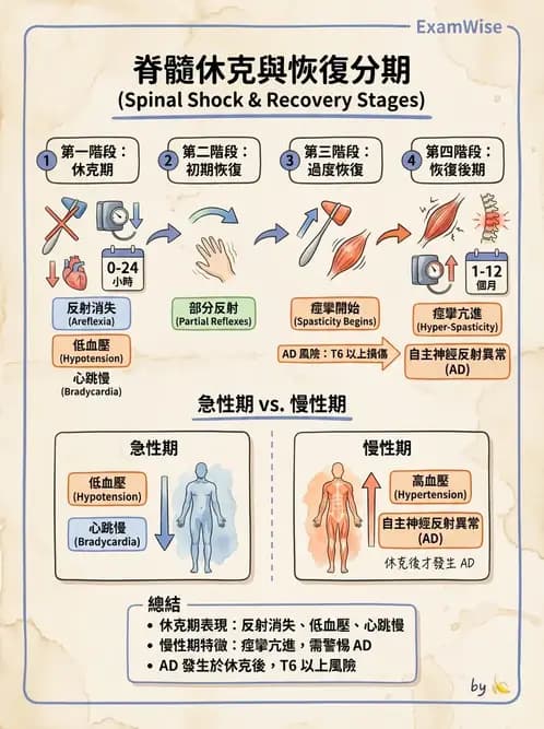 物治 - SCI評估分類與症候群 - AI 圖文解析預覽