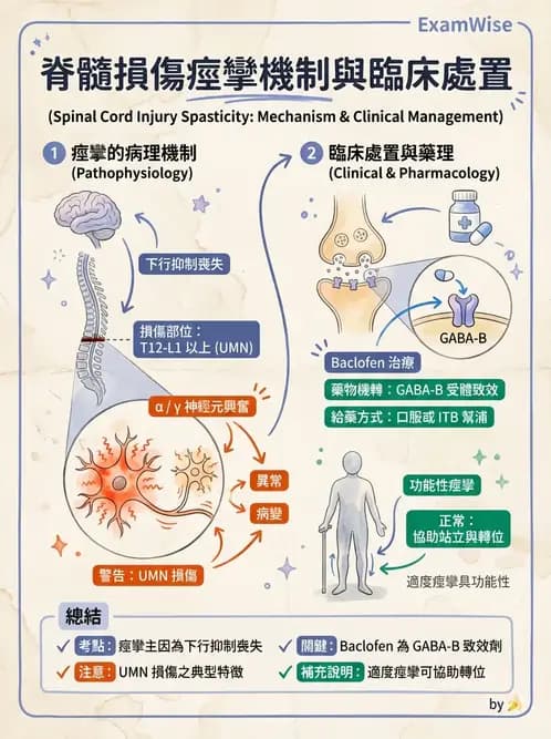 物治 - SCI併發症與呼吸管理 - AI 圖文解析預覽