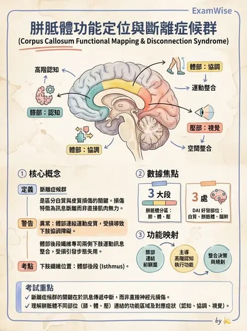 物治 - TBI病理評估與GCS - AI 圖文解析預覽