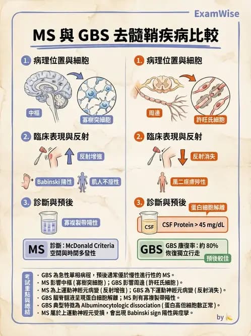 物治 - 多發性硬化症物理治療 - AI 圖文解析預覽