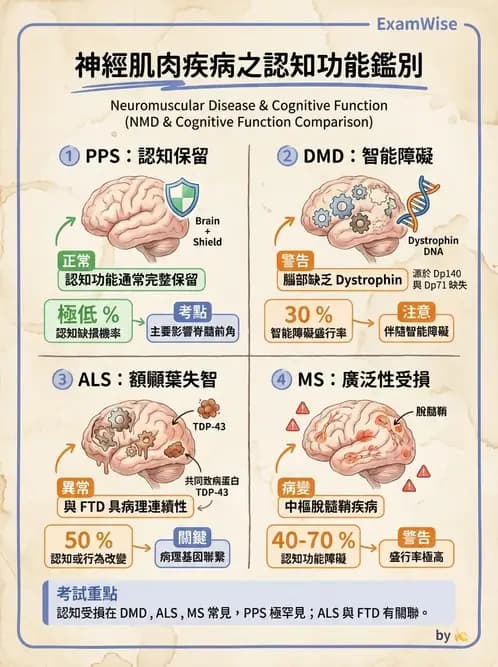 物治 - 神經肌肉疾病 - AI 圖文解析預覽