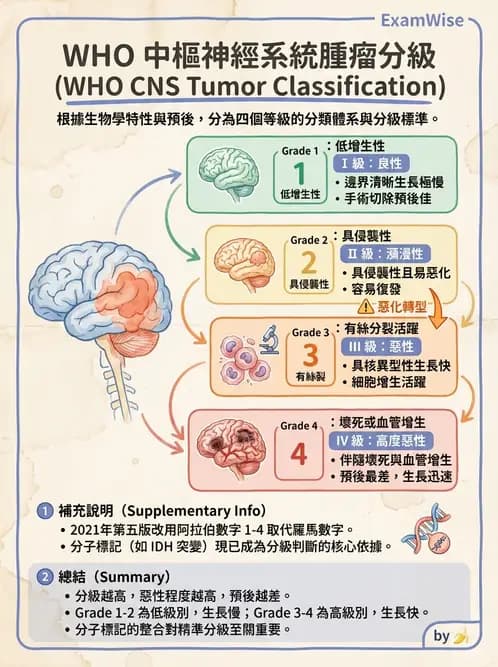 物治 - 運動神經元疾病與其他中樞疾病 - AI 圖文解析預覽