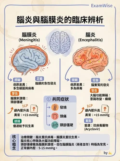物治 - 運動神經元疾病與其他中樞疾病 - AI 圖文解析預覽