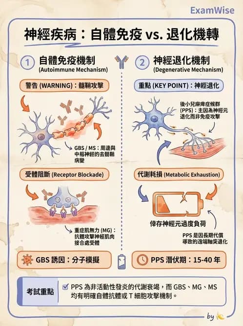 物治 - 神經肌肉疾病 - AI 圖文解析預覽