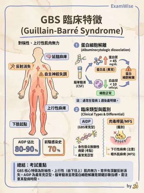 物治 - 神經肌肉疾病 - AI 圖文解析預覽