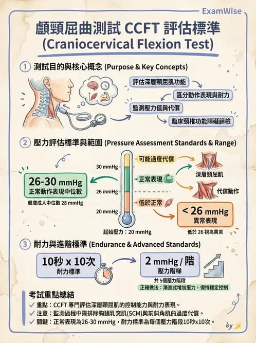 物治 - 頸椎評估與病理 - AI 圖文解析預覽