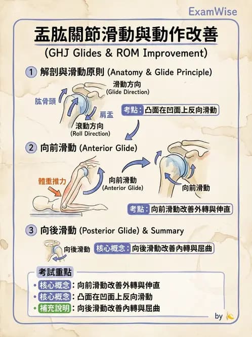 物治 - 冰凍肩與胸廓出口症候群 - AI 圖文解析預覽