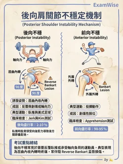 物治 - 肩關節不穩定與盂唇損傷 - AI 圖文解析預覽