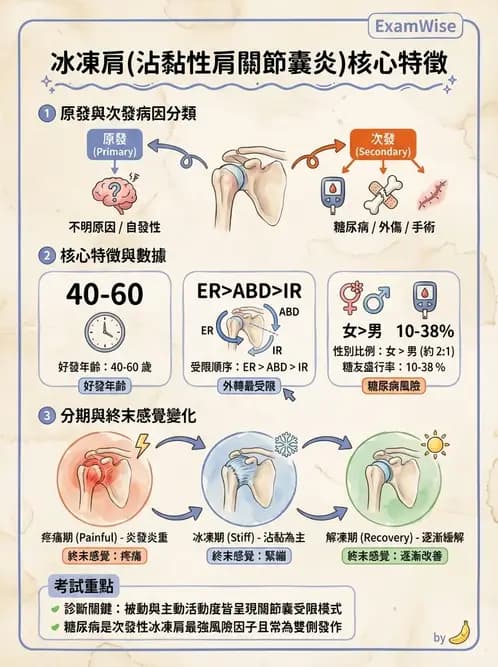 物治 - 冰凍肩與胸廓出口症候群 - AI 圖文解析預覽