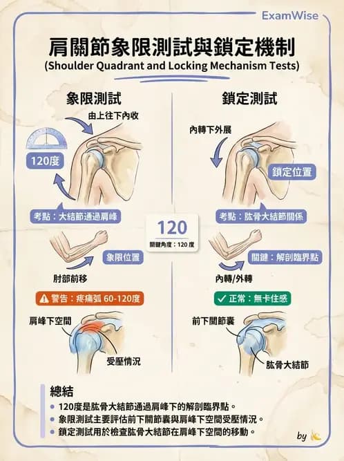 物治 - 肩胛生物力學與神經損傷 - AI 圖文解析預覽