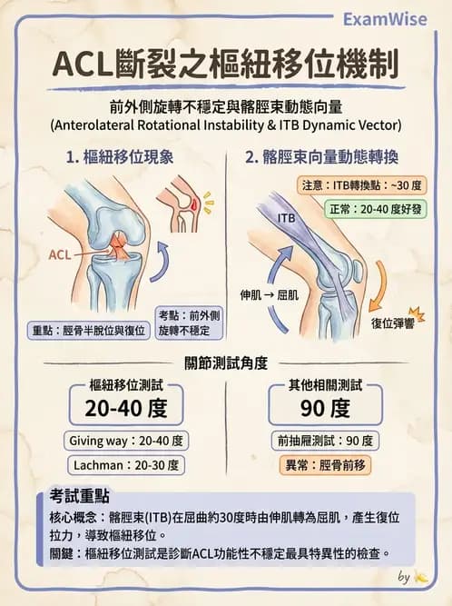 物治 - 膝關節韌帶與半月板損傷 - AI 圖文解析預覽