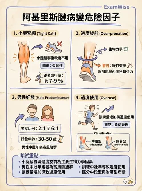 物治 - 踝關節損傷與復健 - AI 圖文解析預覽