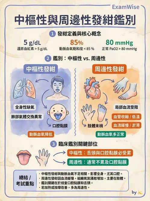 物治 - 初級照護與鑑別診斷 - AI 圖文解析預覽