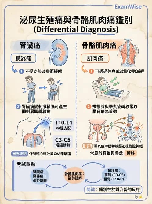 物治 - 初級照護與鑑別診斷 - AI 圖文解析預覽