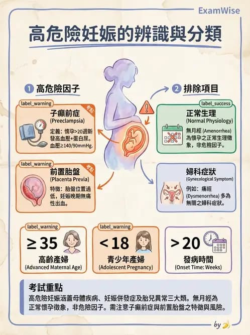 物治 - 女性健康 - AI 圖文解析預覽