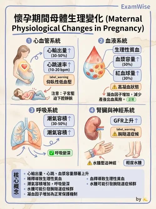 物治 - 女性健康 - AI 圖文解析預覽