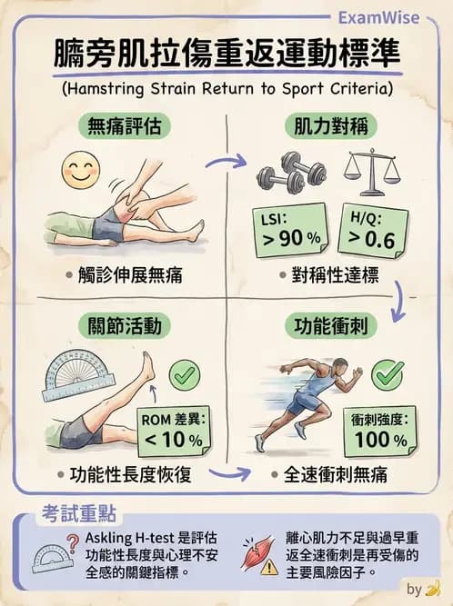 物治 - 競技與運動防護 - AI 圖文解析預覽