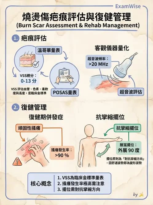 物治 - 皮膚與淋巴系統物理治療 - AI 圖文解析預覽