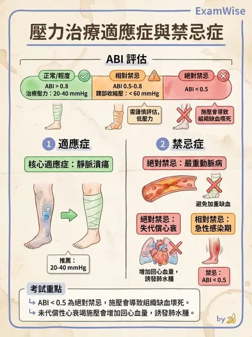物治 - 皮膚與淋巴系統物理治療 - AI 圖文解析預覽