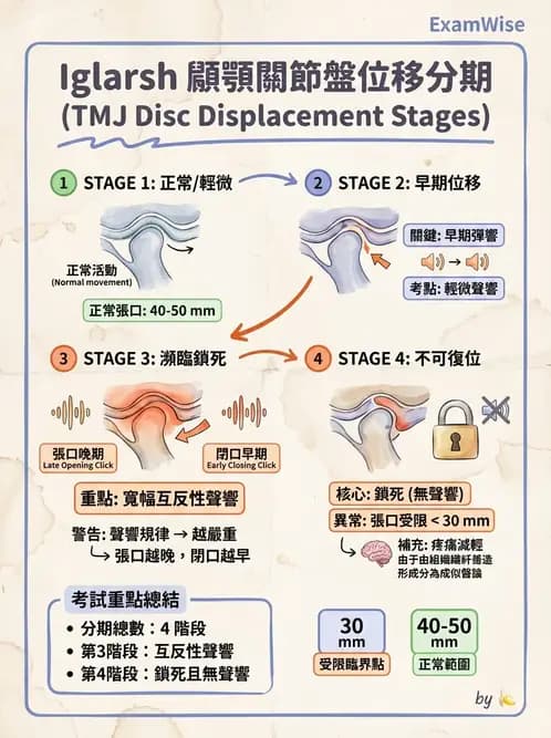物治 - 顳頷關節 - AI 圖文解析預覽