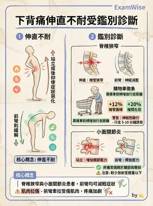 物治 - 腰椎椎間盤與脊椎狹窄 - AI 圖文解析預覽