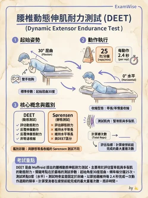 物治 - 腰椎穩定訓練與治療原則 - AI 圖文解析預覽