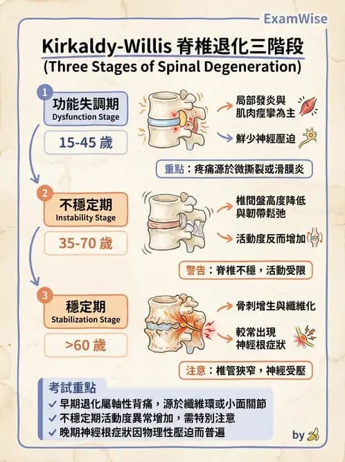物治 - 腰椎椎間盤與脊椎狹窄 - AI 圖文解析預覽