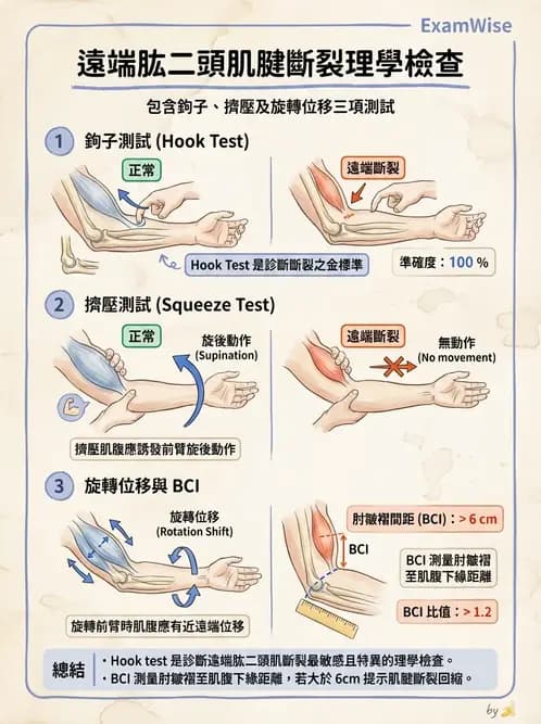 物治 - 肘及前臂關節 - AI 圖文解析預覽