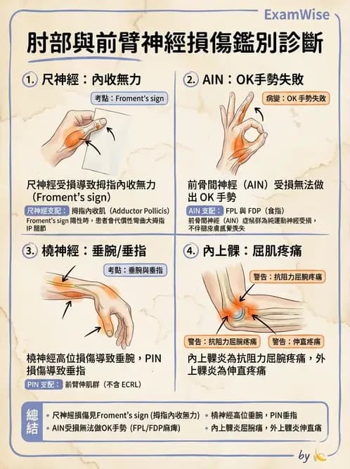 物治 - 肘及前臂關節 - AI 圖文解析預覽