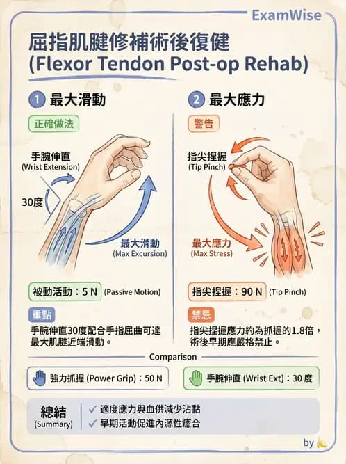 物治 - 手部肌腱損傷與變形 - AI 圖文解析預覽