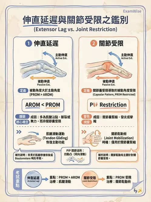 物治 - 手部肌腱損傷與變形 - AI 圖文解析預覽