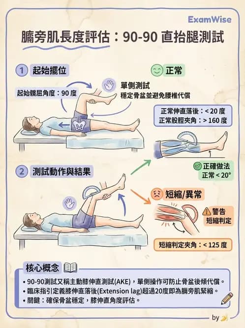 物治 - 髖關節解剖與評估 - AI 圖文解析預覽