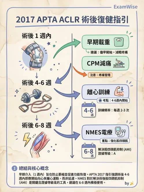 物治 - 膝關節韌帶與半月板損傷 - AI 圖文解析預覽