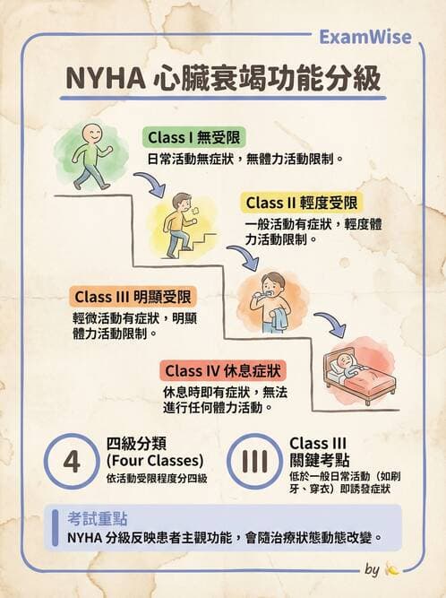 專師 - 心衰竭 - AI 圖文解析預覽