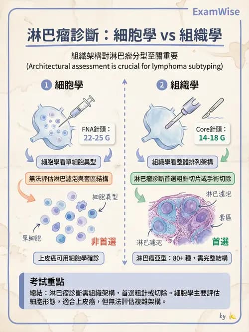 專師 - 腫瘤診斷與分期 - AI 圖文解析預覽