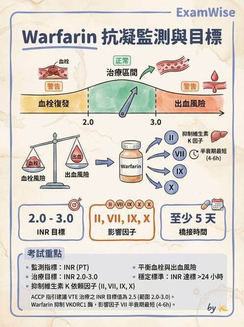 專師 - 肺栓塞與其他肺疾 - AI 圖文解析預覽