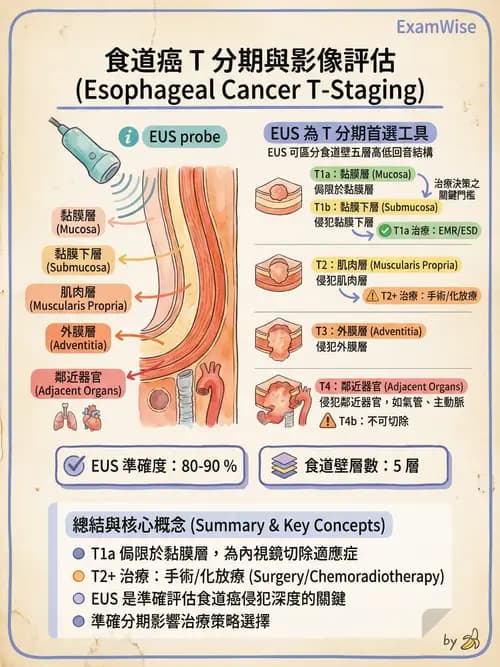 專師 - 上消化道 - AI 圖文解析預覽