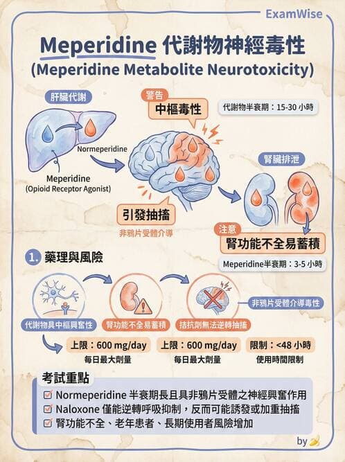 專師 - 術後疼痛控制 - AI 圖文解析預覽