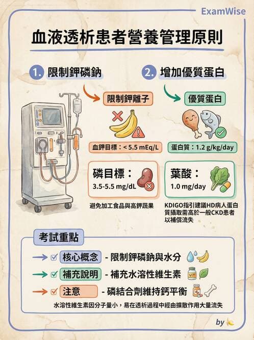 專師 - 透析治療 - AI 圖文解析預覽