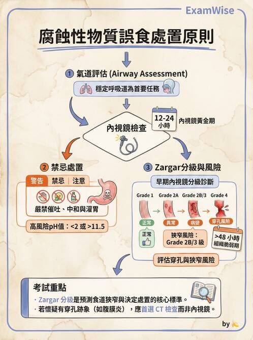 專師 - 上消化道 - AI 圖文解析預覽