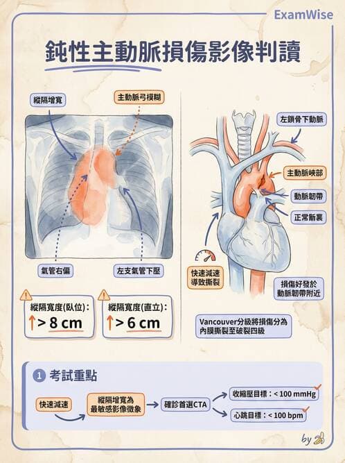 專師 - 胸腹部創傷 - AI 圖文解析預覽