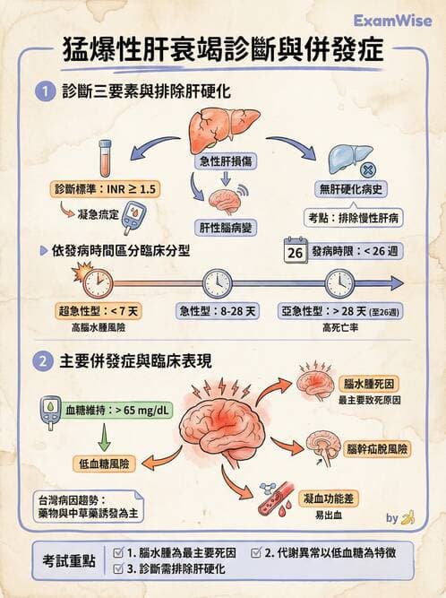 專師 - 肝炎與肝功能 - AI 圖文解析預覽